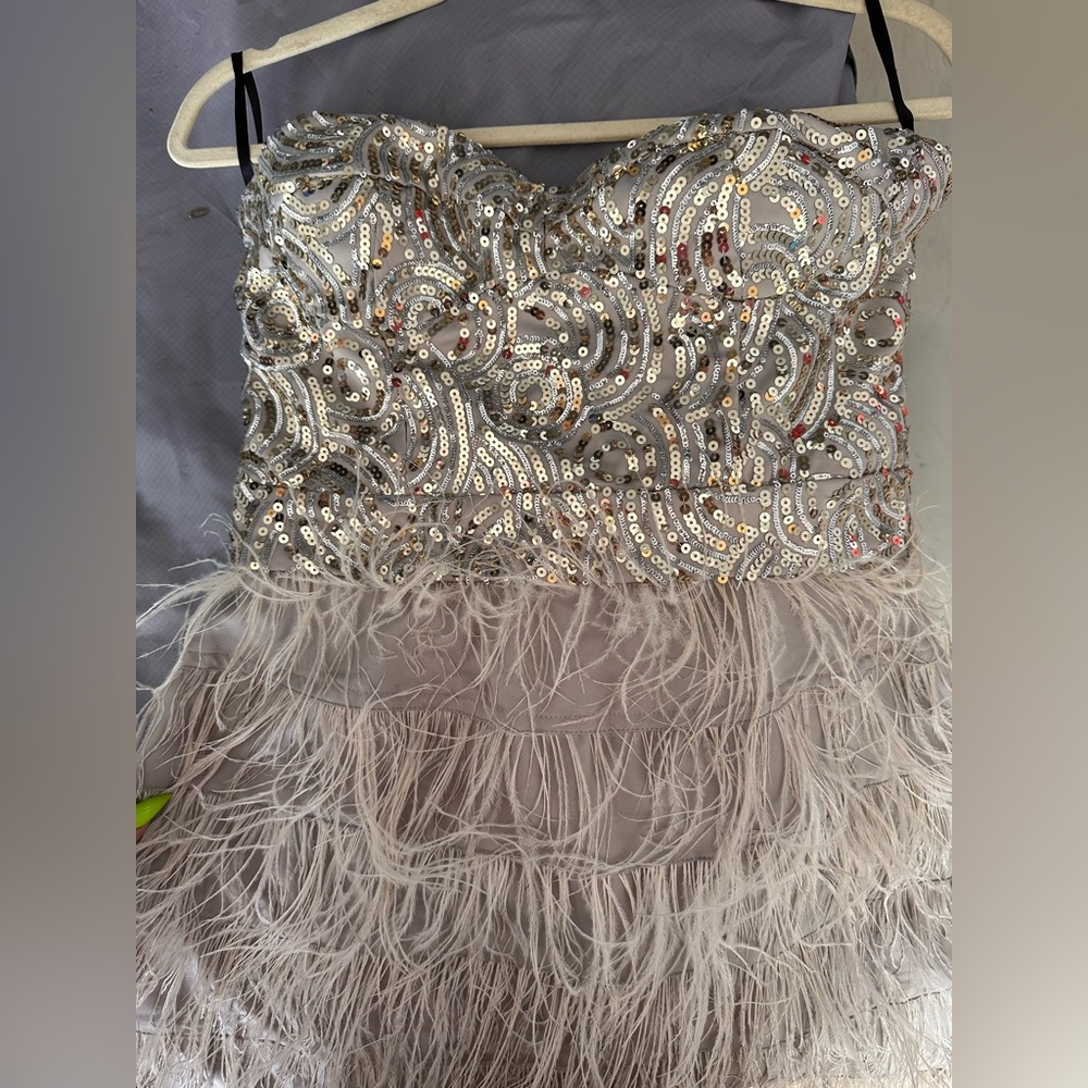 Feathered hand beaded dress
